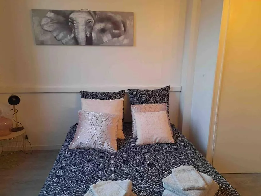 Tres Joli Studio Moderne En Plein Coeur D\'Avignon contacts